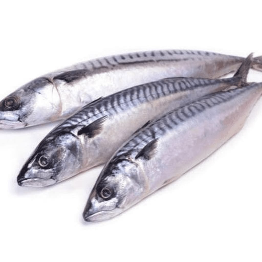 Fish
