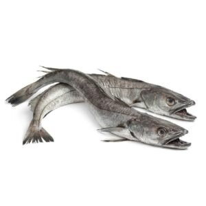 Hake